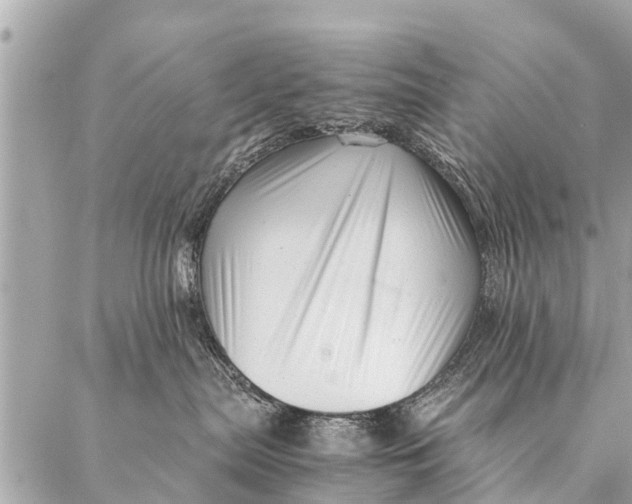 X0000087390287200705042018