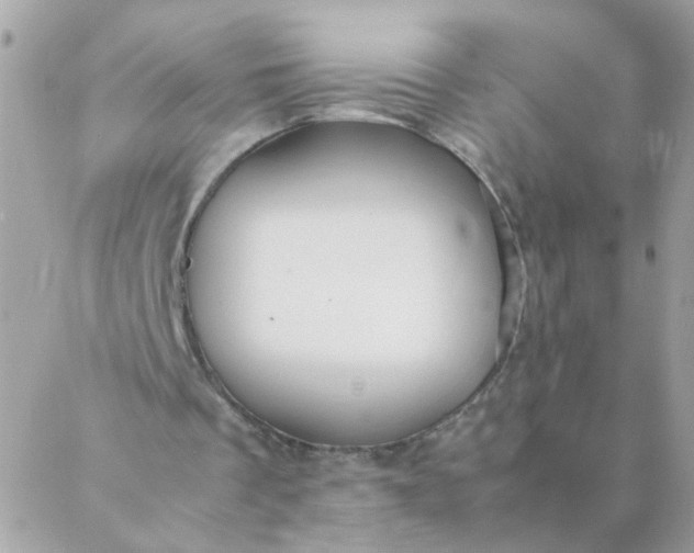 X0000087390289200705042017