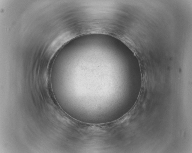 X0000087390290200705042017