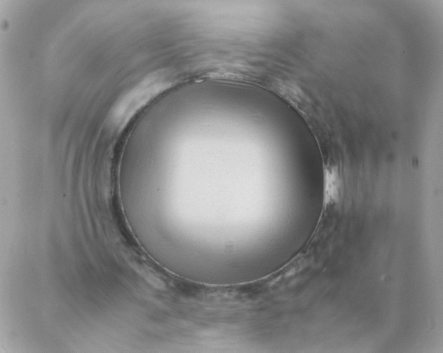 X0000087390291200705042017