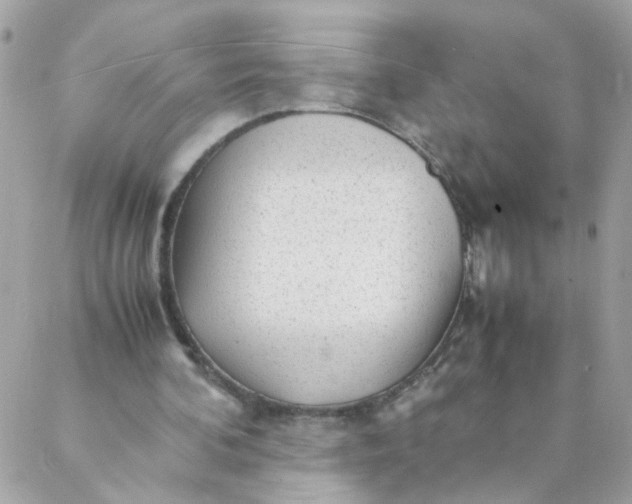 X0000087390292200705042017