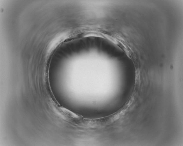 X0000087390293200705042017