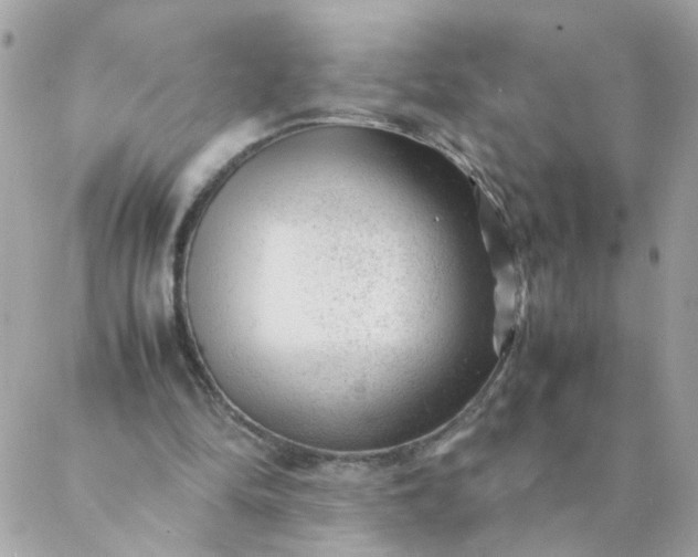 X0000087390294200705042017