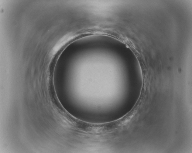 X0000087390295200705042017