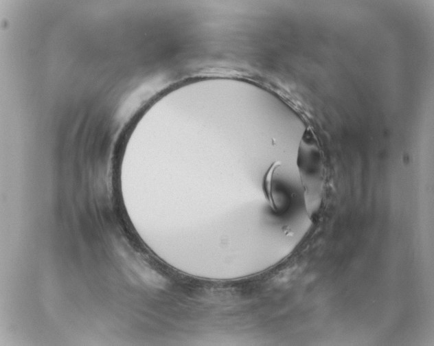 X0000087390296200705042017