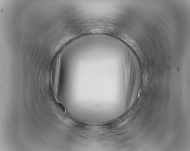 X0000087390297200705042017