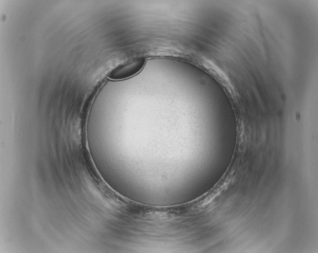 X0000087390298200705042017