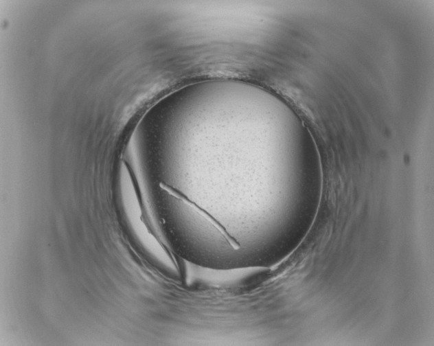 X0000087390299200705042017