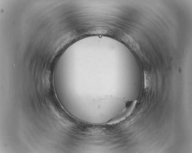 X0000087390300200705042017