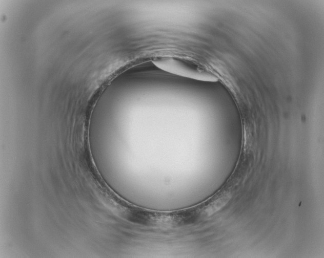 X0000087390301200705042017