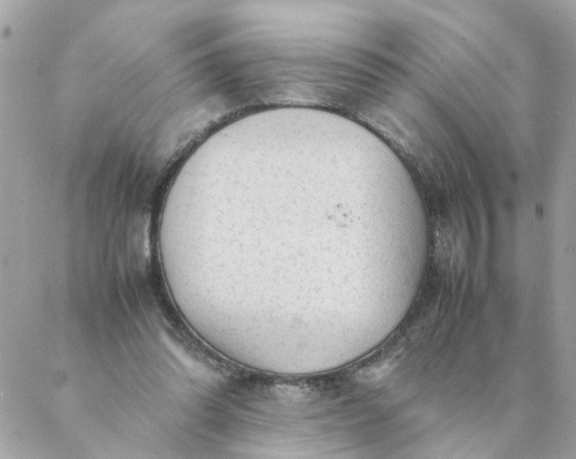 X0000087390302200705042017