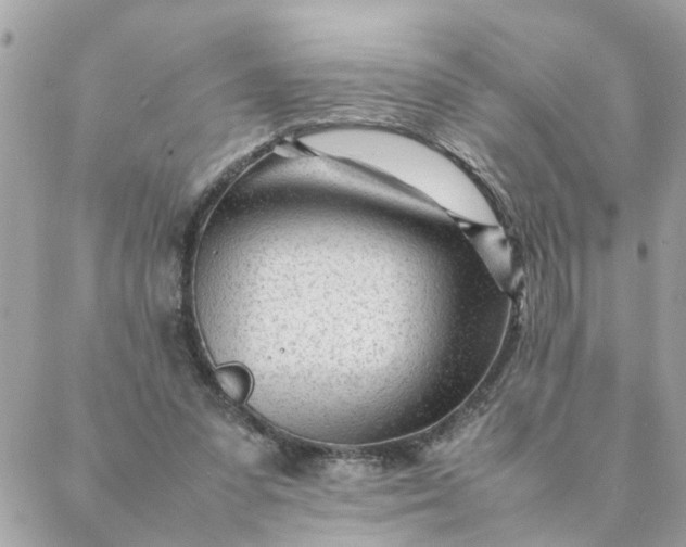 X0000087390303200705042017