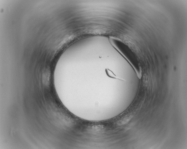 X0000087390304200705042017