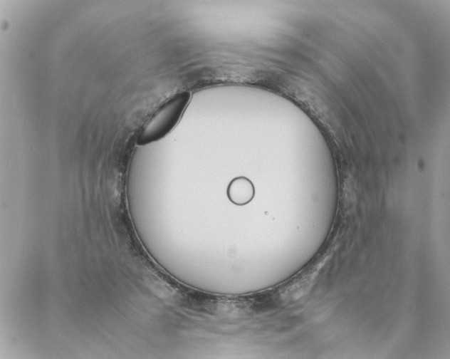 X0000087390305200705042017