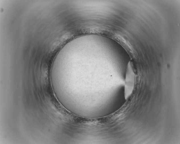 X0000087390306200705042017