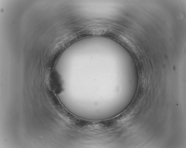 X0000087390307200705042017