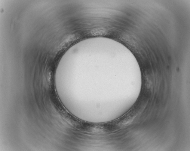 X0000087390308200705042017