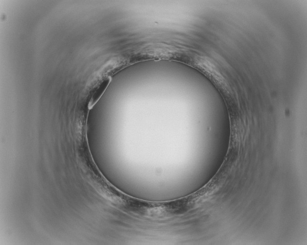 X0000087390309200705042017