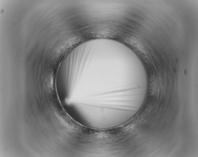 X0000087390310200705042017