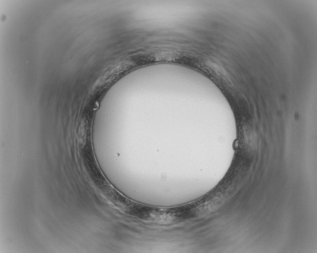 X0000087390311200705042017