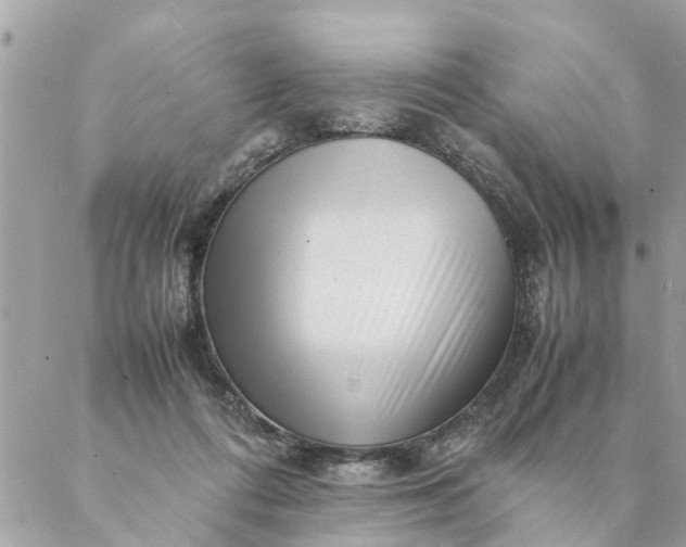 X0000087390312200705042017