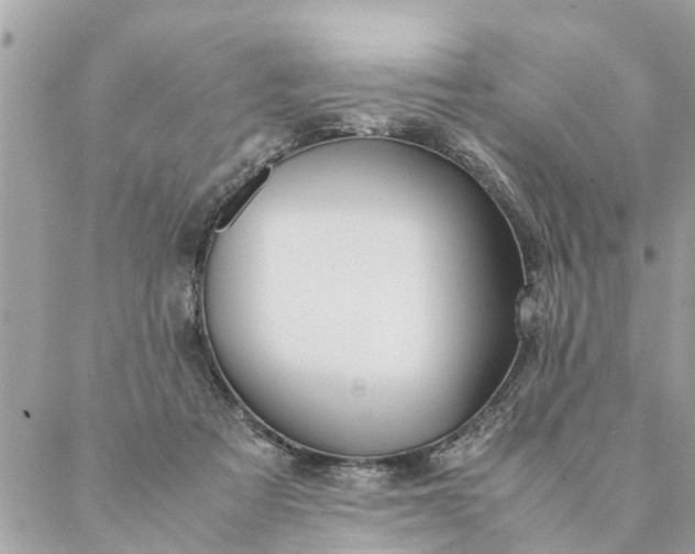 X0000087390313200705042017