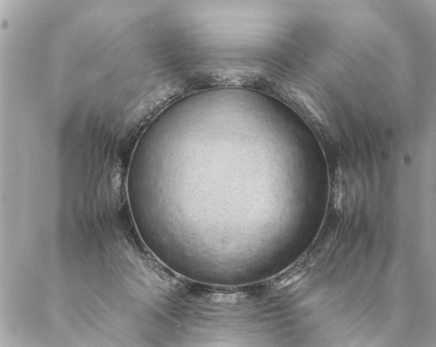 X0000087390314200705042017