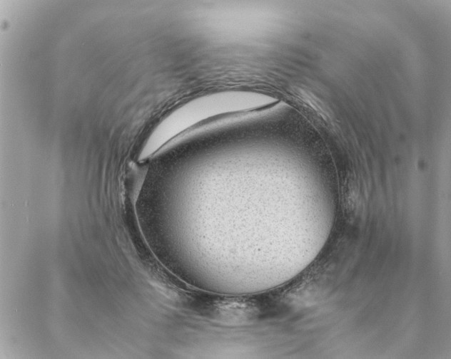 X0000087390315200705042017