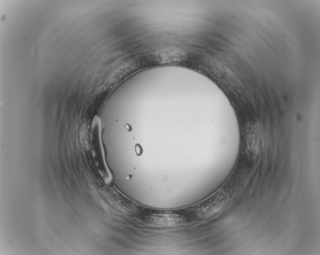 X0000087390316200705042017