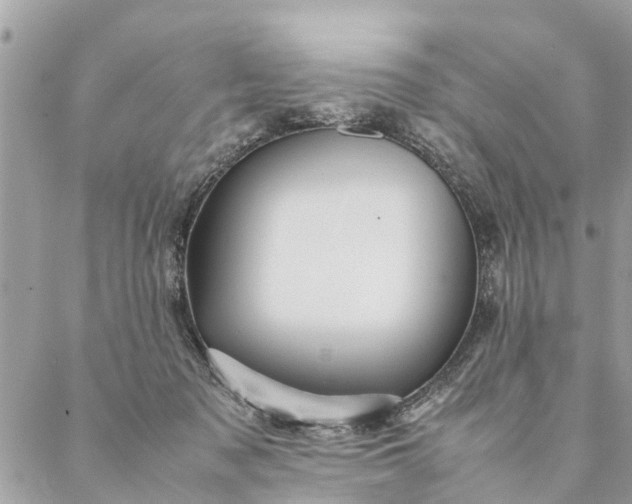 X0000087390317200705042017