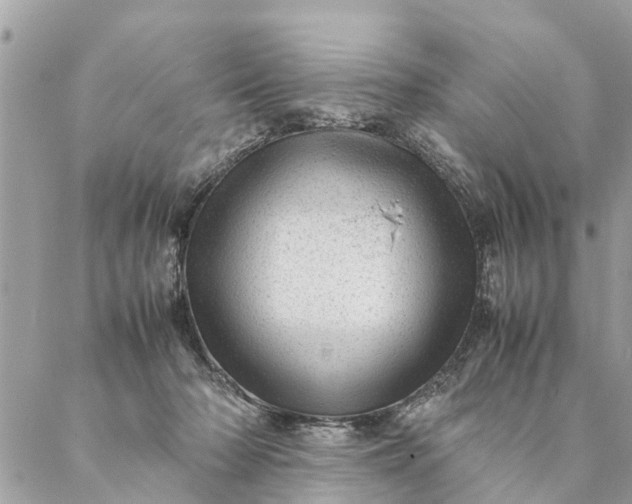 X0000087390318200705042017