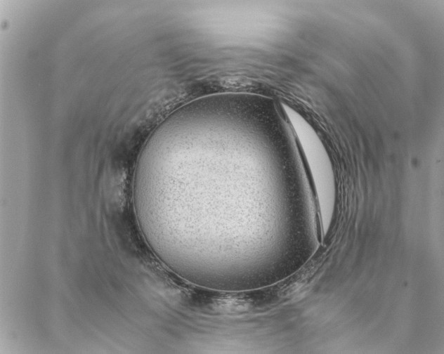 X0000087390319200705042017