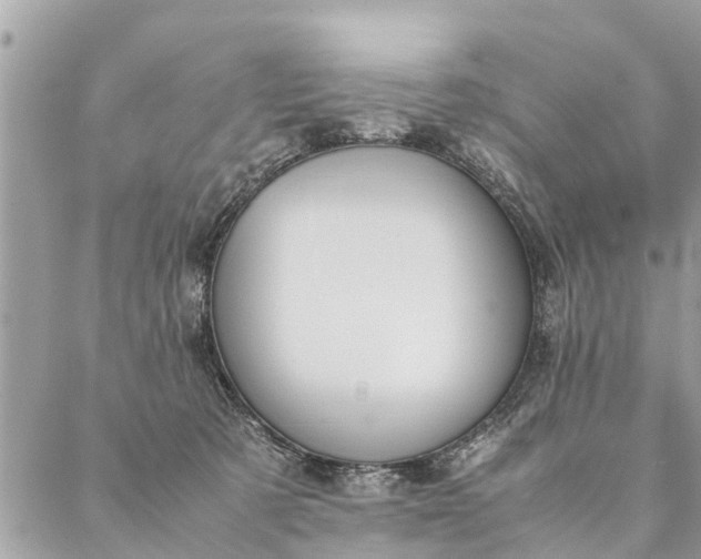 X0000087390321200705042017