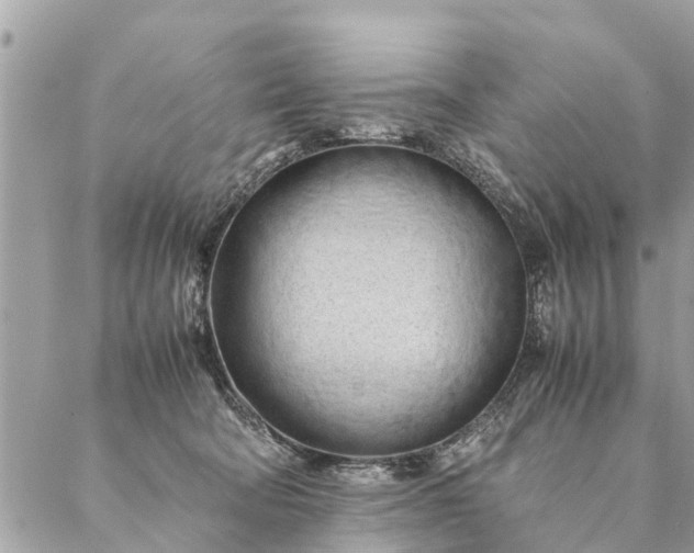 X0000087390322200705042017