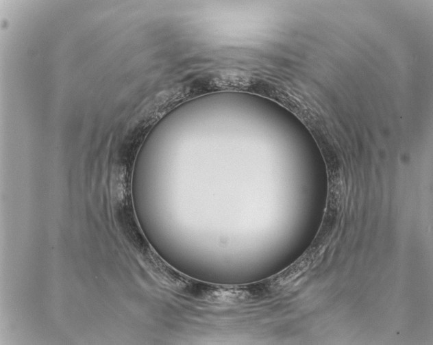 X0000087390323200705042017