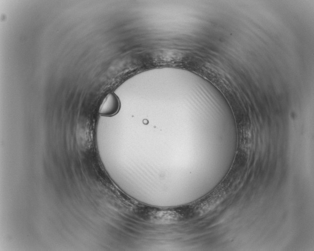 X0000087390324200705042017