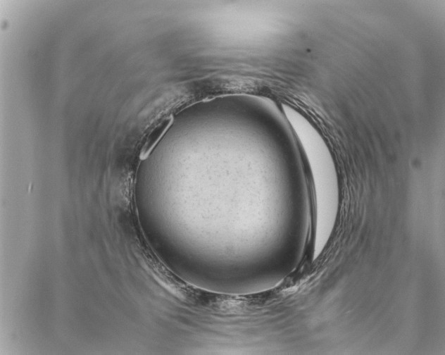 X0000087390325200705042017