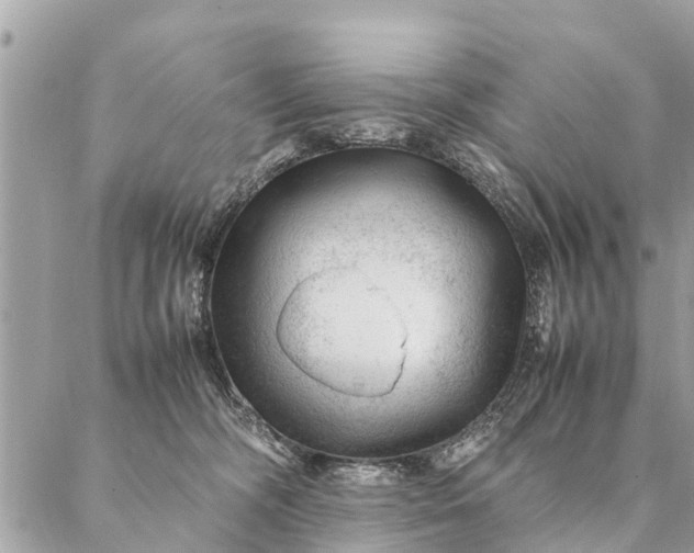 X0000087390326200705042017