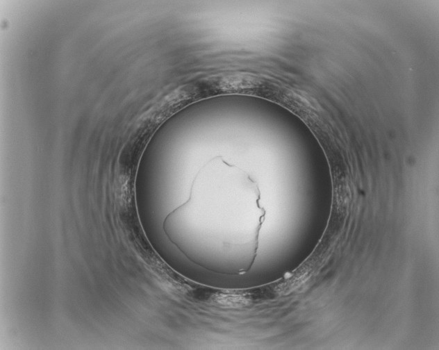 X0000087390327200705042017