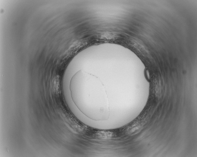 X0000087390328200705042017