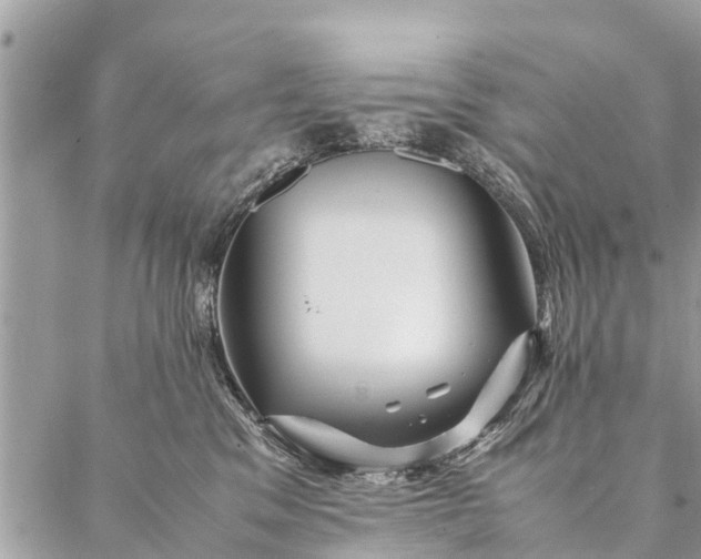 X0000087390329200705042017