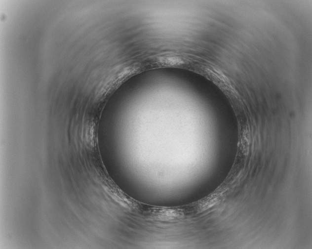 X0000087390330200705042017