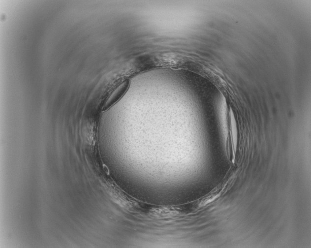 X0000087390331200705042017