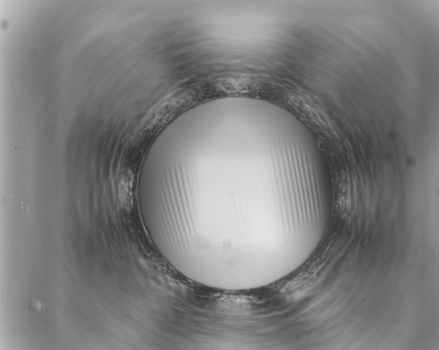 X0000087390332200705042017