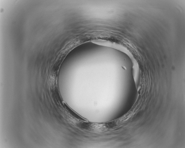 X0000087390333200705042016