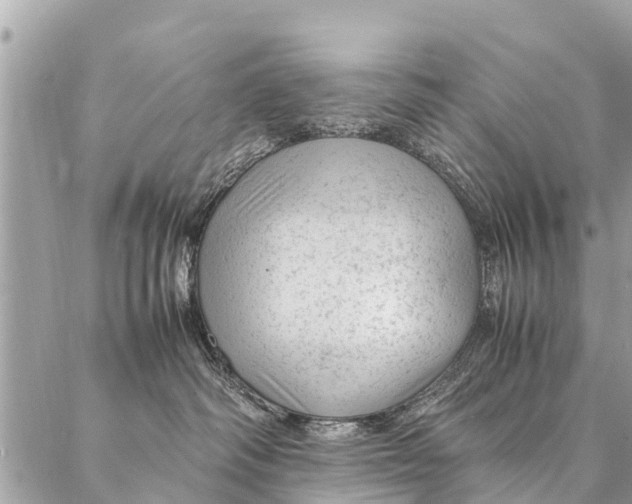 X0000087390334200705042016