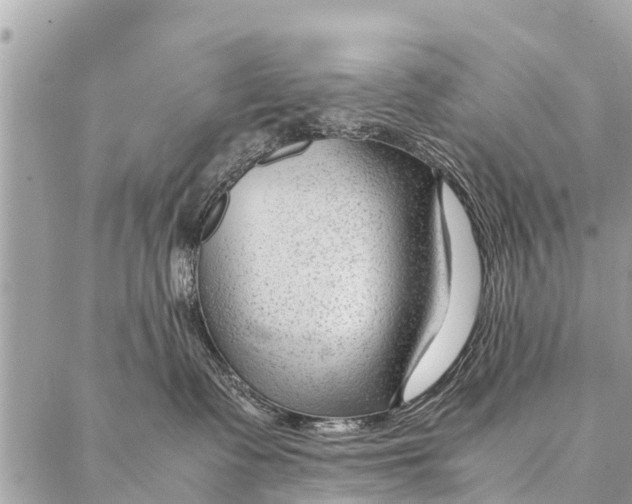 X0000087390335200705042016