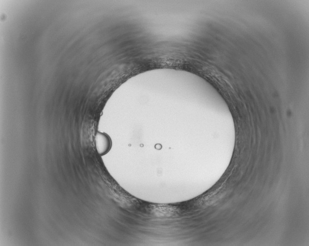 X0000087390336200705042016