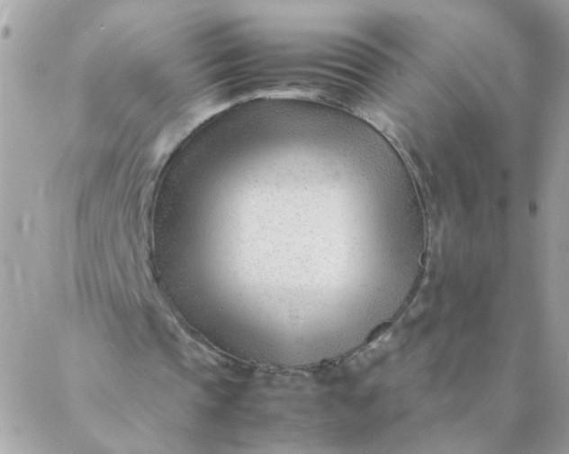 X0000087390337200705042016