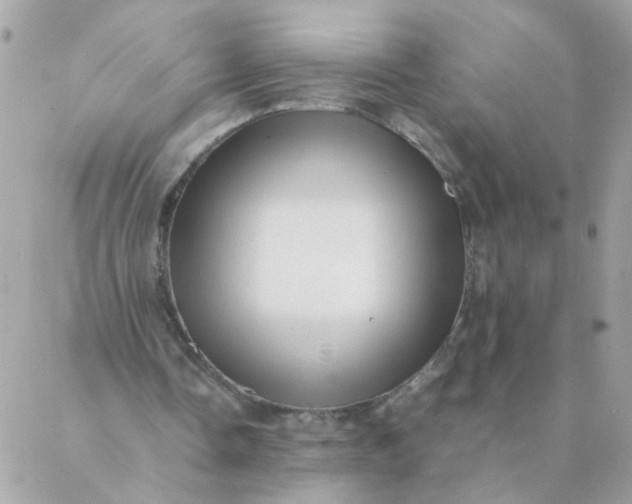 X0000087390338200705042016